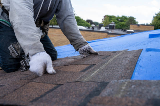 Best Roof Waterproofing Services  in Pinconning, MI