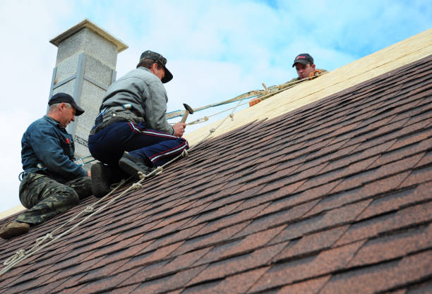 Best New Roof Installation  in Pinconning, MI