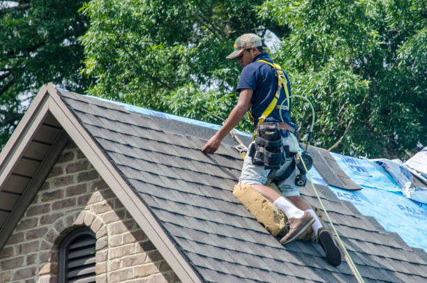 Best Storm Damage Roof Repair  in Pinconning, MI